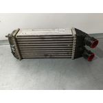 Intercooler Para Citroen C3