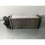 Intercooler Para Citroen C3