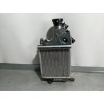 Radiador Agua Para Honda Pcx 125