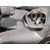 Motor Limpia Delantero para Honda Cr-V (Re)