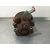 Bomba Direccion Para Ford Ka