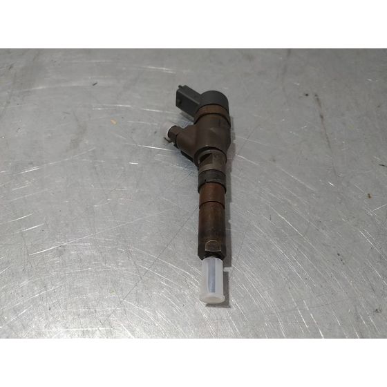 Inyector Para Peugeot 406 Berlina
