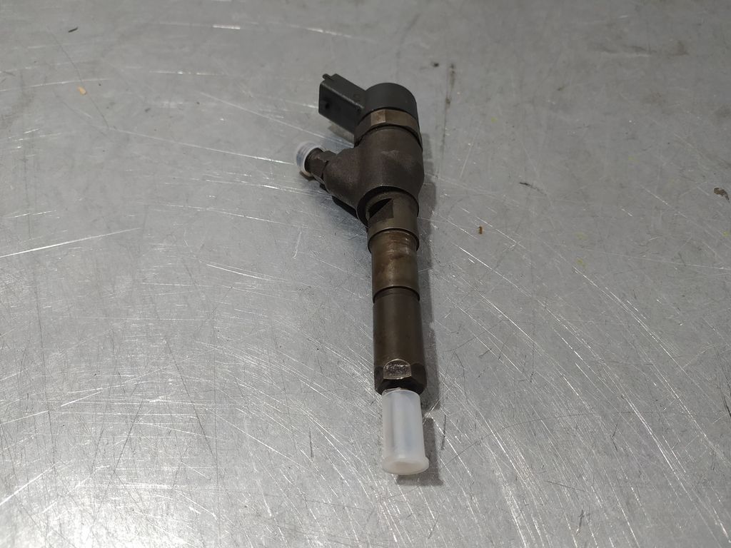 Inyector Para Peugeot 406 Berlina