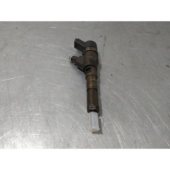 Inyector Para Peugeot 406 Berlina