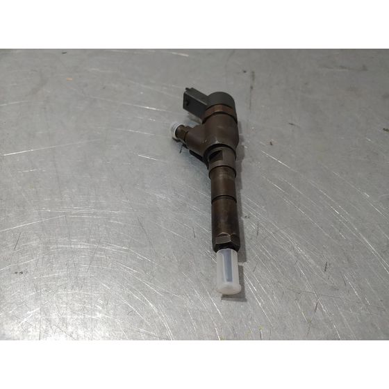 Inyector Para Peugeot 406 Berlina