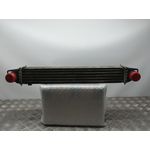 Intercooler Para Peugeot Bipper