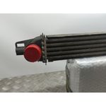 Intercooler Para Peugeot Bipper