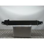 Intercooler Para Peugeot Bipper