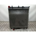 Radiador Agua Para Citroen C3