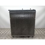 Radiador Agua Para Citroen C3