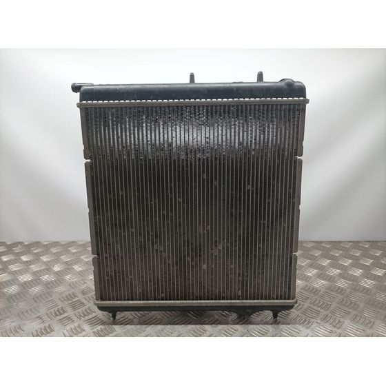 Radiador Agua Para Citroen C3
