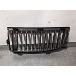 Rejilla Capo Der para Bmw Serie 3 Berlina (E90)