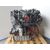Motor Completo Para Ford Mondeo Sportbreak