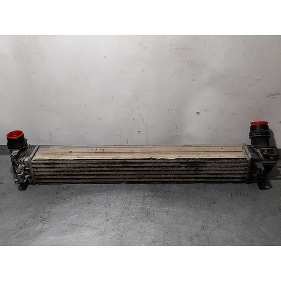 Intercooler Para Renault Scenic Iii