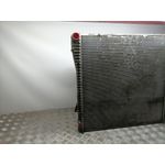 Radiador Agua para Bmw X5