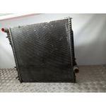 Radiador Agua para Bmw X5