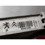 Radiador Agua Para Peugeot 807