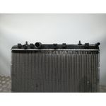 Radiador Agua Para Peugeot 2008