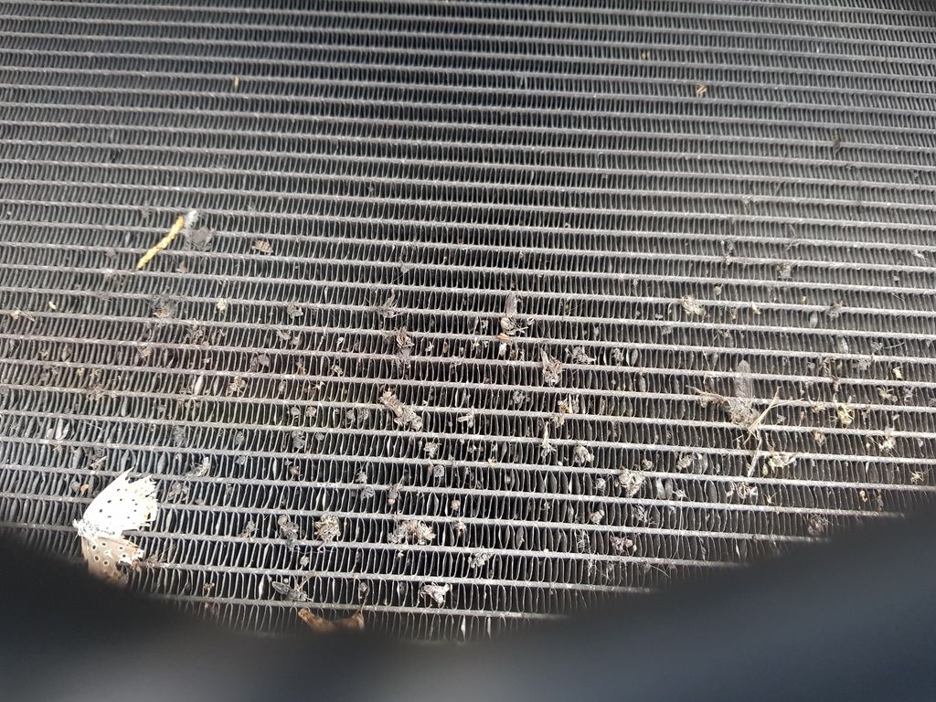 Radiador Agua Para Toyota Auris