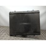 Radiador Agua Para Peugeot 5008