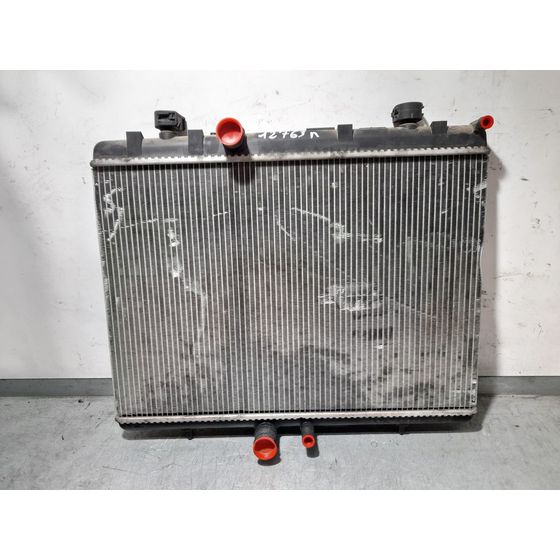 Radiador Agua para Peugeot 407