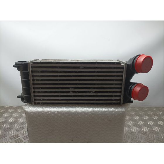 Intercooler Para Citroen C4 Lim.
