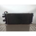 Intercooler Para Citroen C4 Lim.