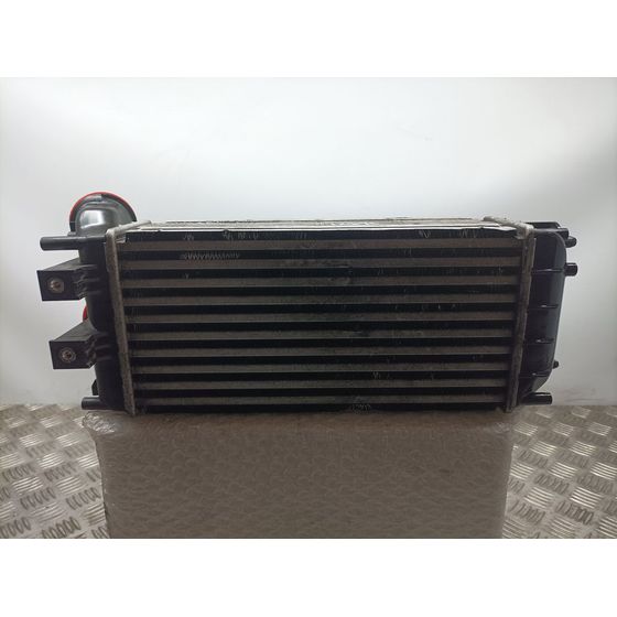 Intercooler Para Citroen C4 Lim.