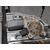 Elevalunas Delantero Izquierdo para Mercedes-Benz Clase C (W203) Berlina