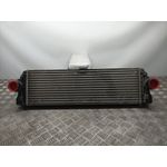 Intercooler Para Mercedes Sprinter Iii Plataforma Rwd / Awd