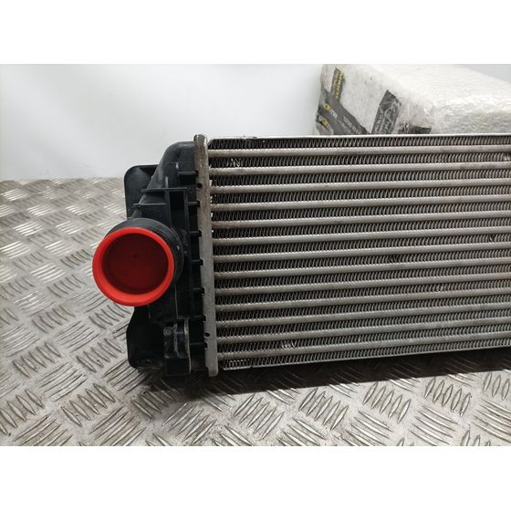 Intercooler Para Mercedes Sprinter Iii Plataforma Rwd / Awd