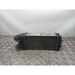 Intercooler Para Citroen Xsara Picasso