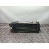 Intercooler Para Citroen Xsara Picasso