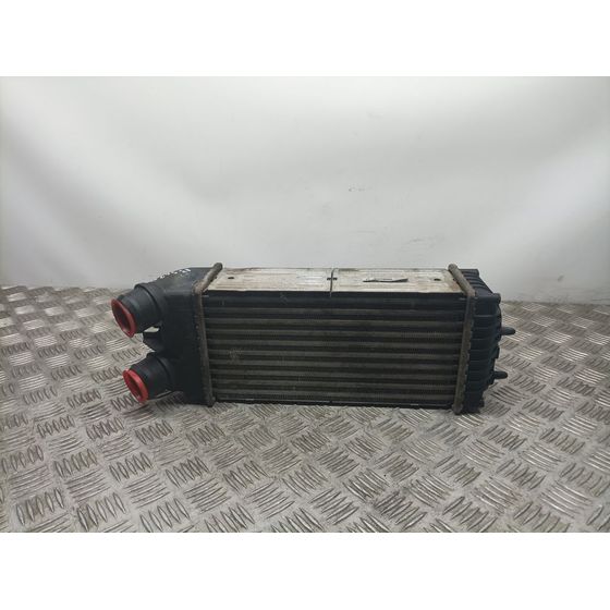 Intercooler Para Citroen Xsara Picasso