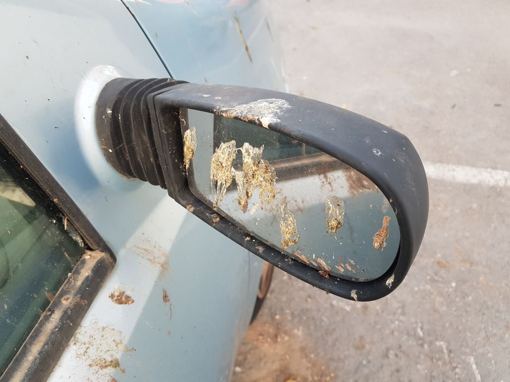 Retrovisor Derecho Para Fiat Punto Berlina