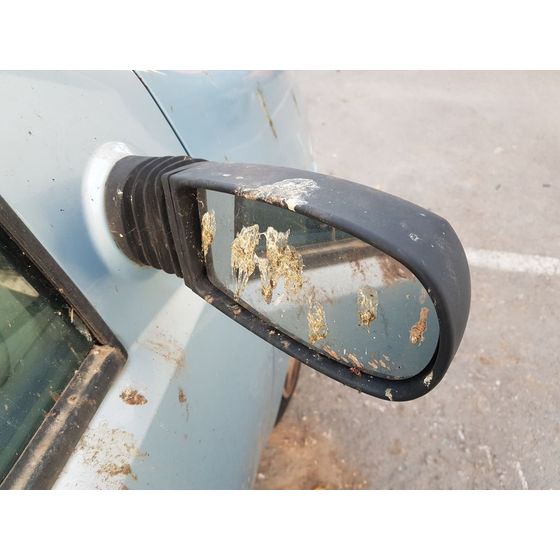 Retrovisor Derecho Para Fiat Punto Berlina