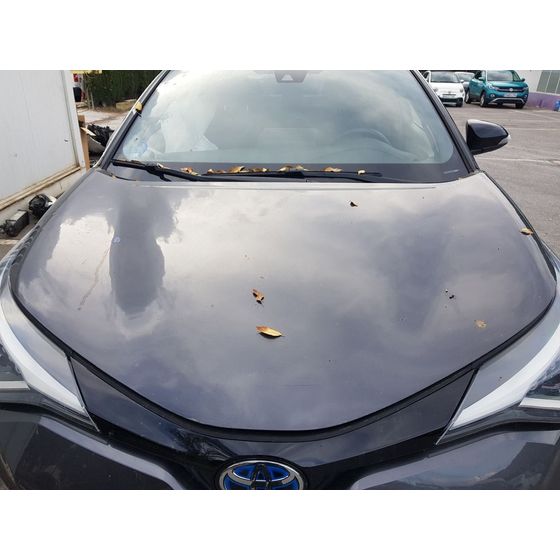Capot para Toyota C-Hr