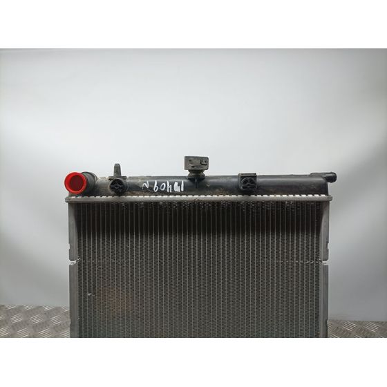 Radiador Agua Para Citroen C3