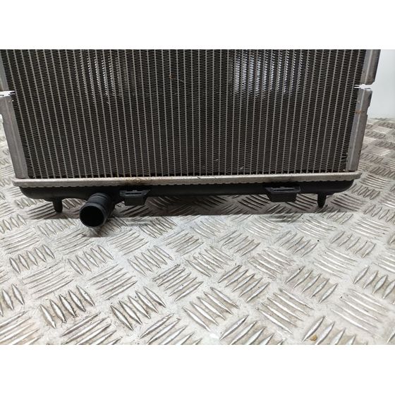 Radiador Agua Para Citroen C3