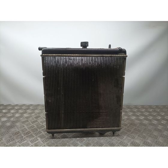 Radiador Agua Para Citroen C3