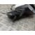 Retrovisor Derecho Para Citroen C3