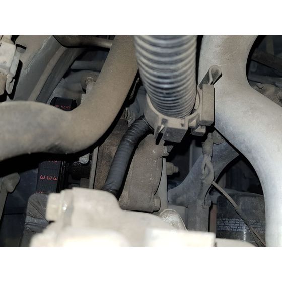 Bomba Direccion para Nissan Almera Tino
