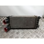 Intercooler Para Citroen C4 Lim.