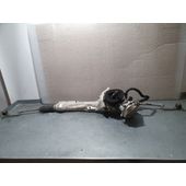 Cremallera Direccion Para Peugeot 208