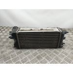 Intercooler Para Ford Fiesta