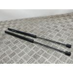 Amortiguadores Maletero / Porton Para Ford Fiesta