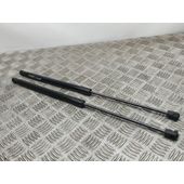 Amortiguadores Maletero / Porton Para Ford Fiesta