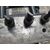 Abs Para Citroen Xsara Picasso