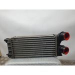 Intercooler Para Citroen C4 Lim.