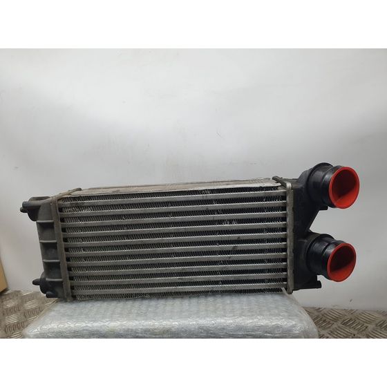 Intercooler Para Citroen C4 Lim.